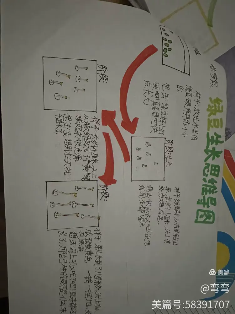 处处留心皆学问,细心观察爱生活